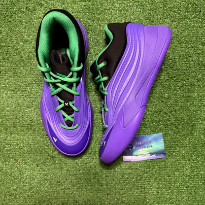 Adidas Dame 10 Bucks Throwback