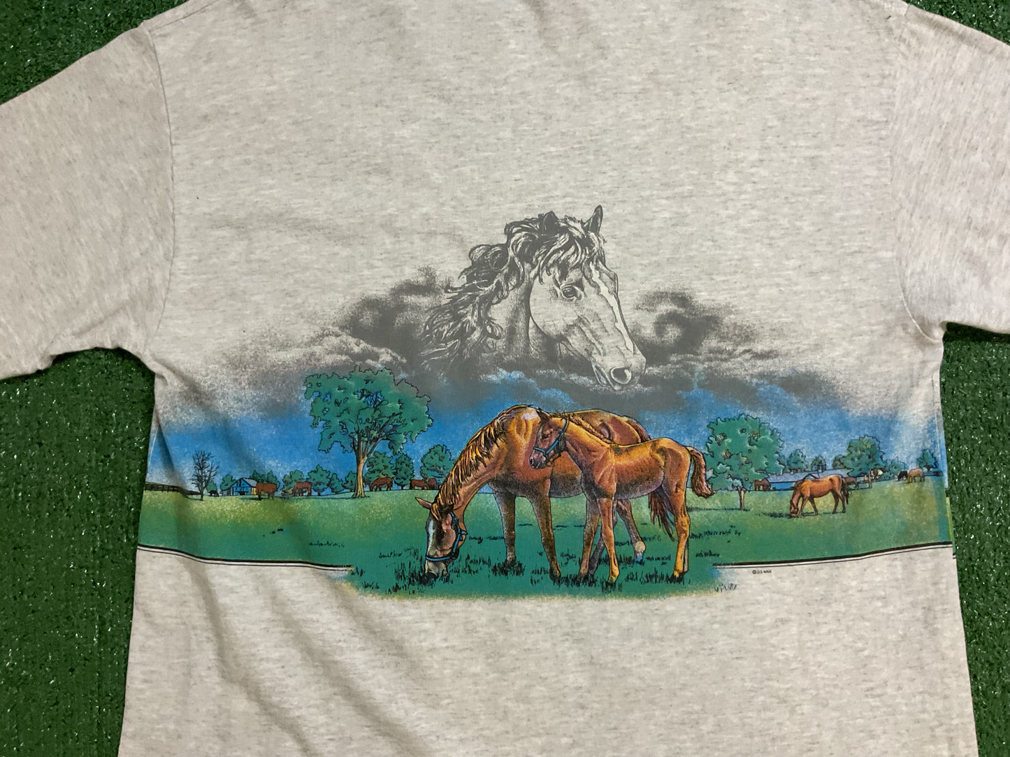 Vintage South Dakota Horse Tee