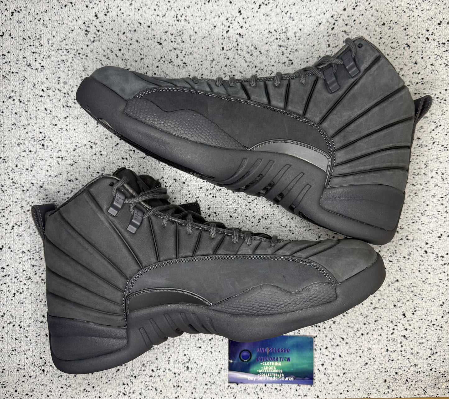 Jordan 12 PSNY