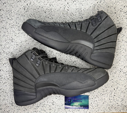 Jordan 12 PSNY