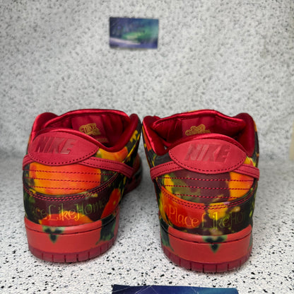 Nike Dunk SB Wizard Of Oz 10.5 Men “Preowned”