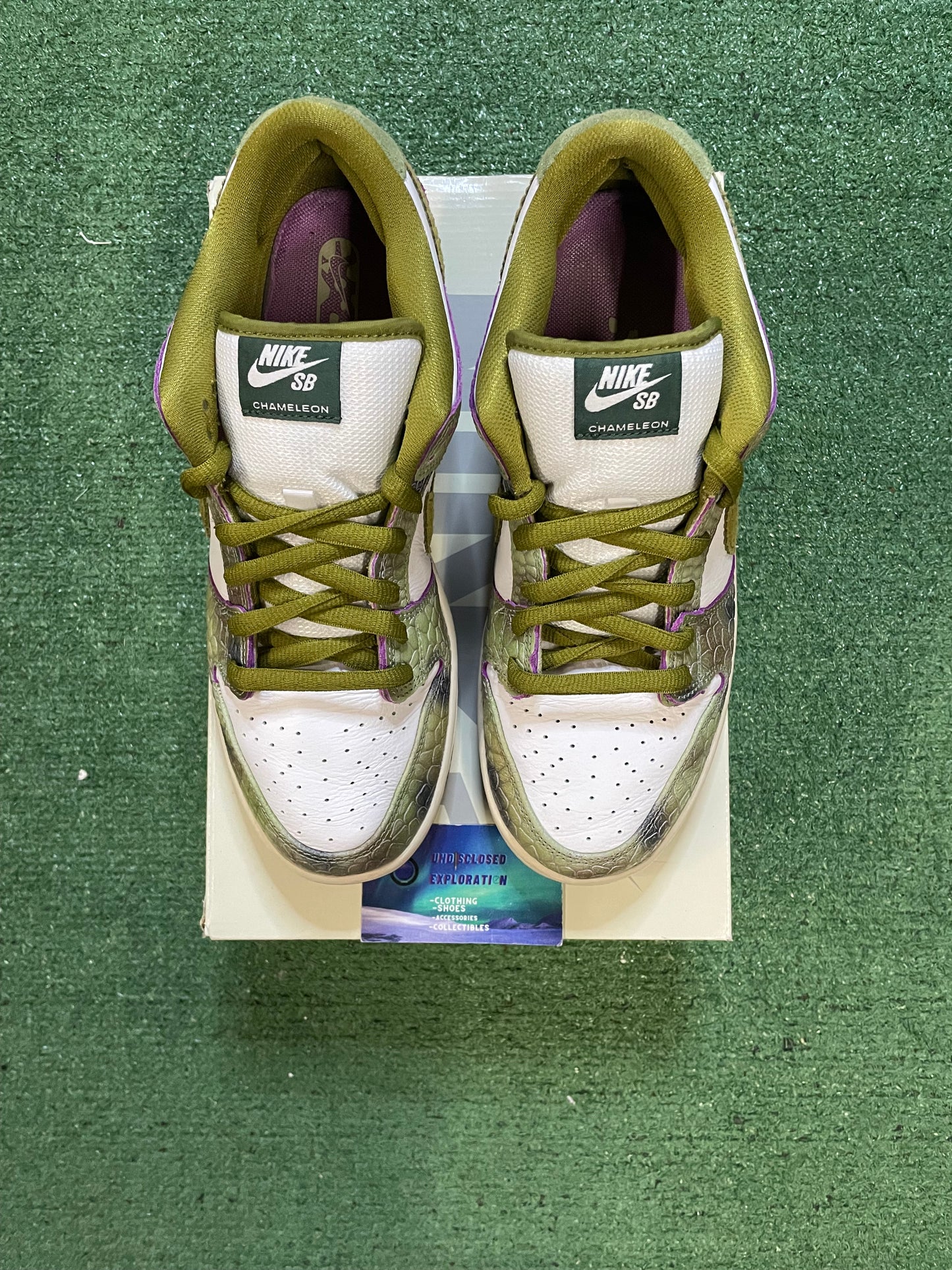 Nike SB Dunk Alexis Sablone size 10.5men/12women