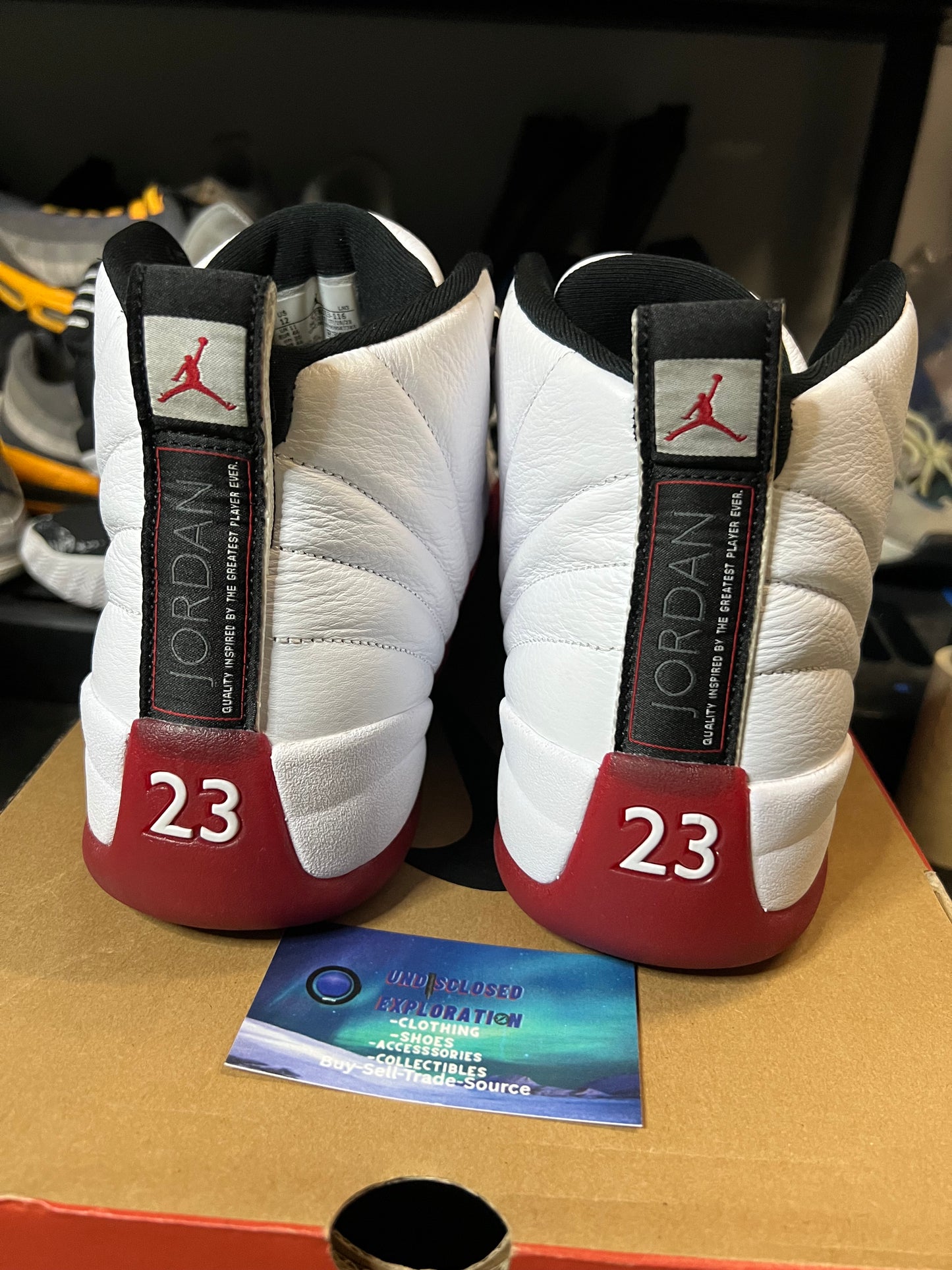 Jordan 12 cherry 2023 size 12men/13.5women