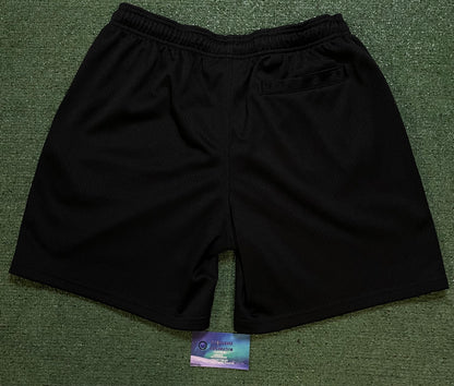 Stussy big basic mesh black shorts