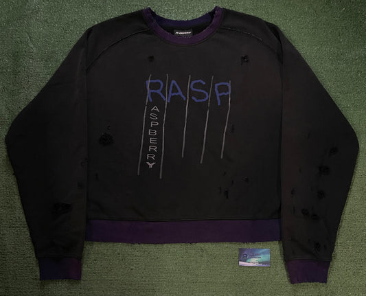 GV Gallery Raspberry hills sulfer black and purple crewneck
