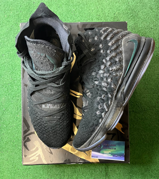 Nike Lebron 17 currency size 12men/13.5women