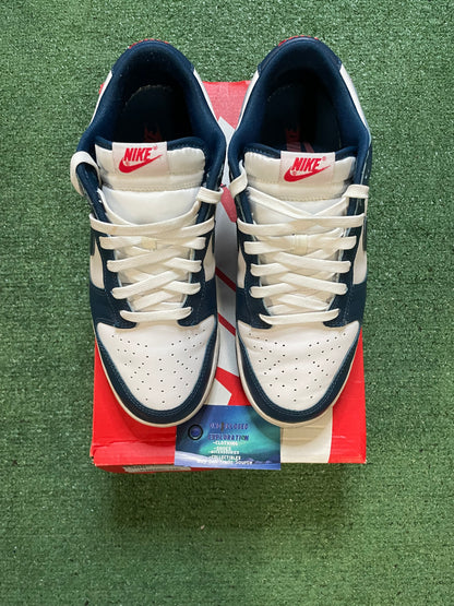 Nike dunk low valerian blue size 10men/11.5women