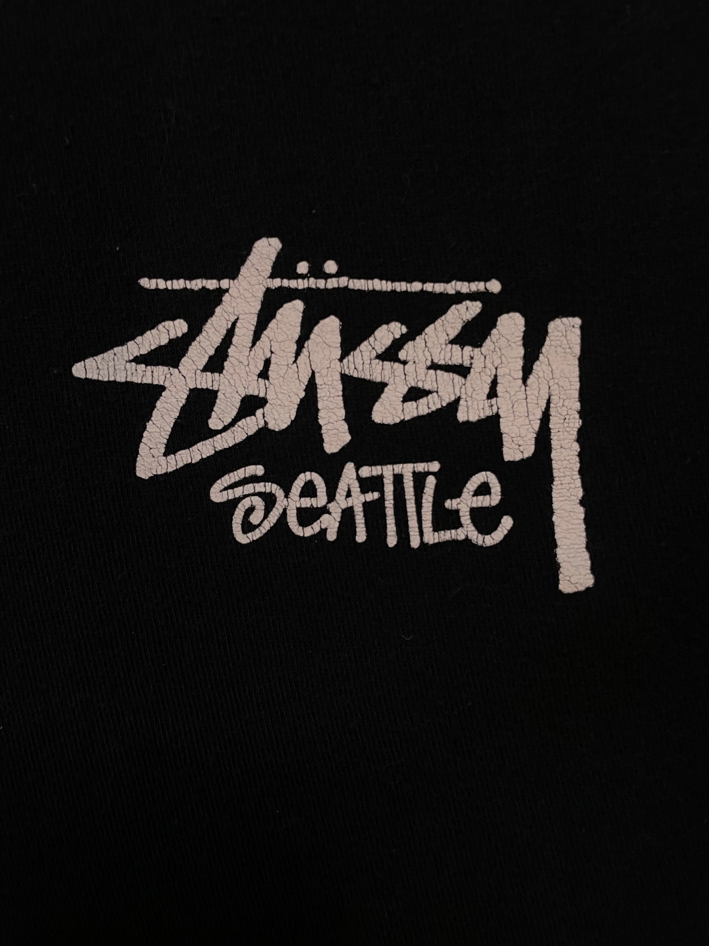 Stussy Seattle black tee
