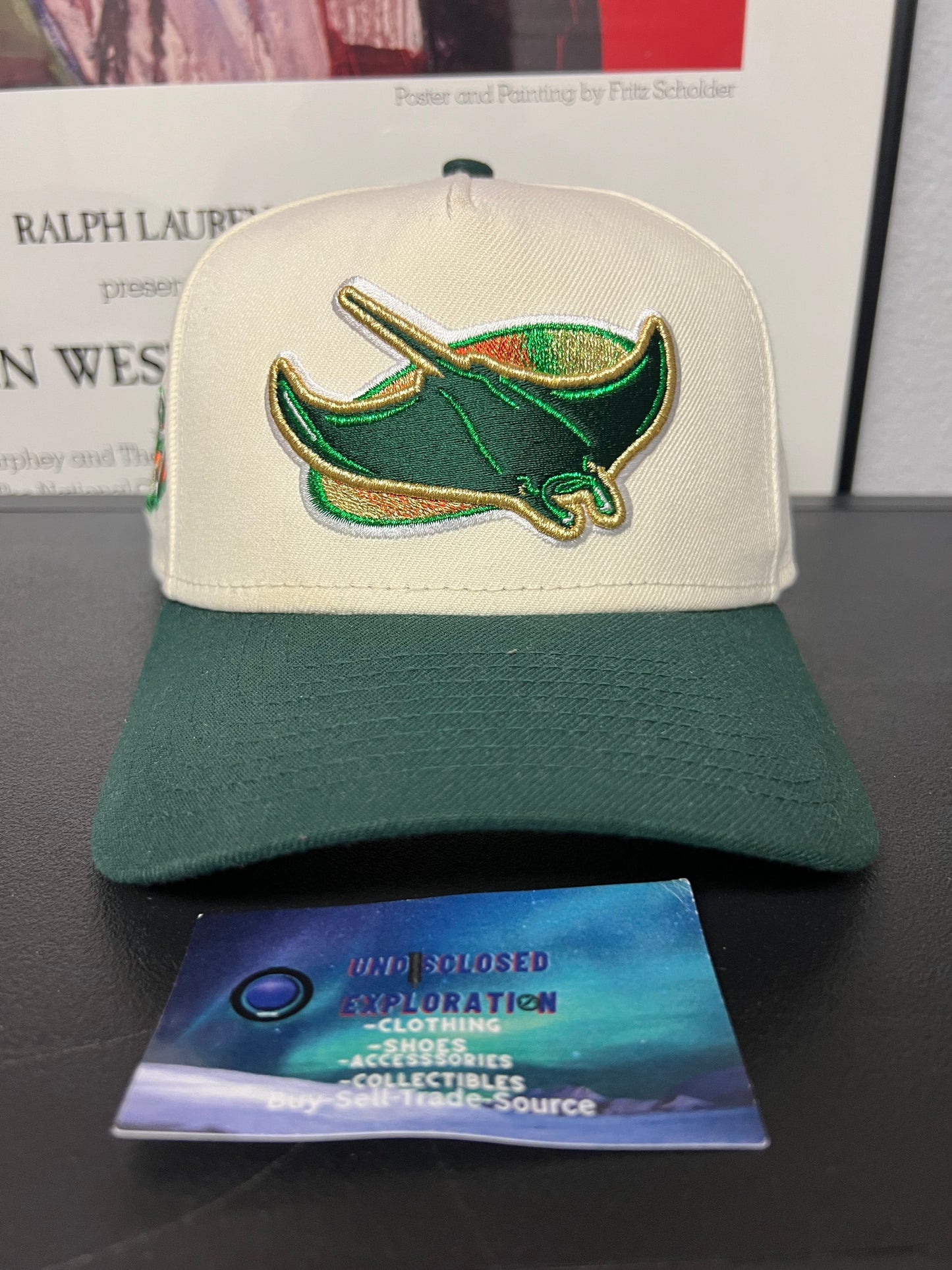 Tampa Bay Devil Rays Tropicana Field  hat