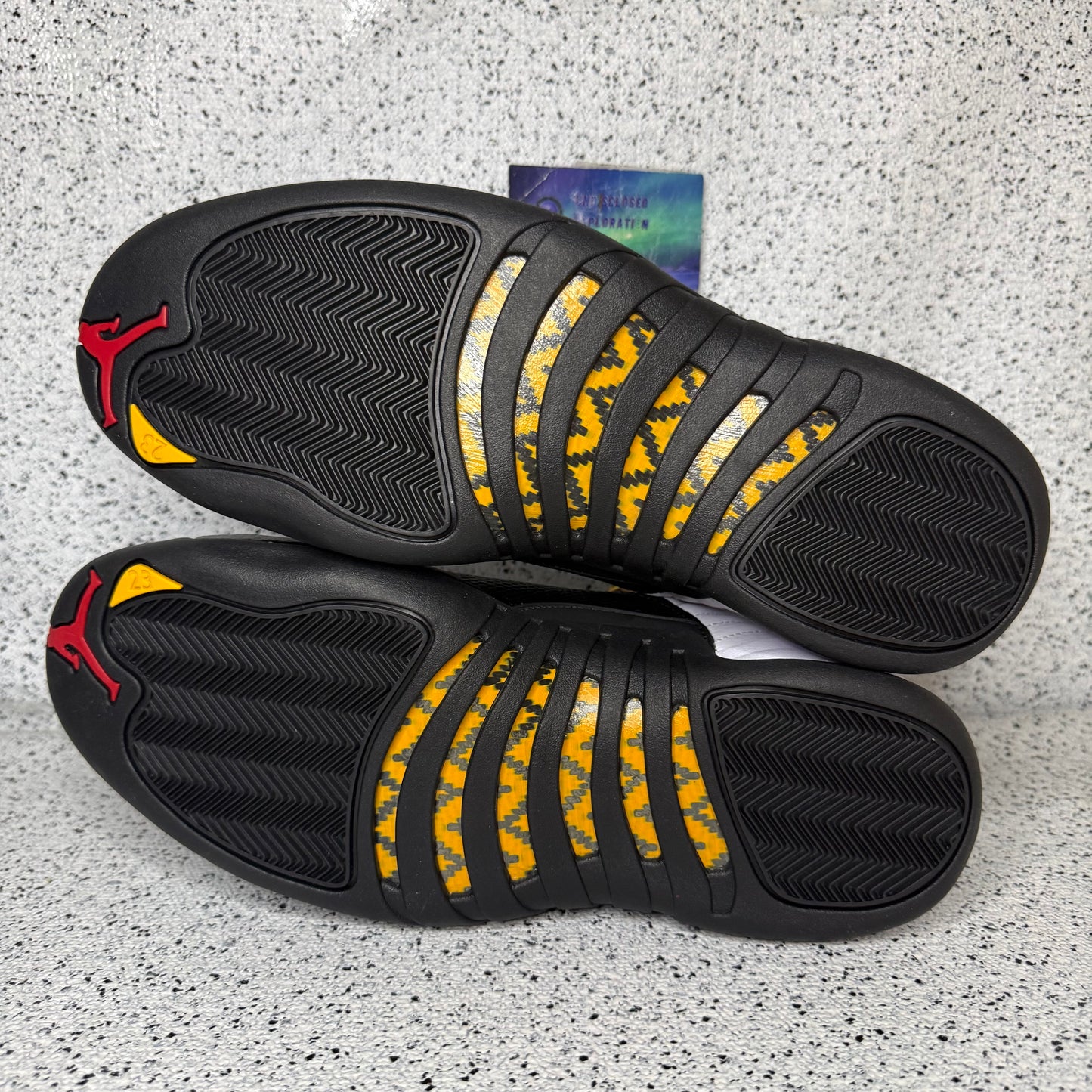 Jordan 12 Taxi