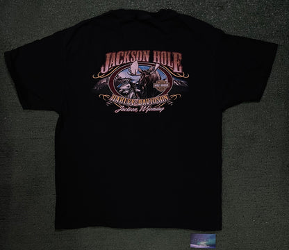 Vintage Harley Davidson Jackson hole Wyoming tee