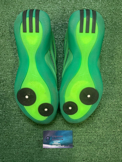 Adidas Harden Volume 9 metamorphosis size 10.5men/12women