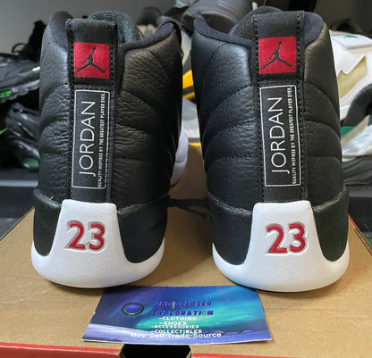 Air Jordan 12 Retro playoffs