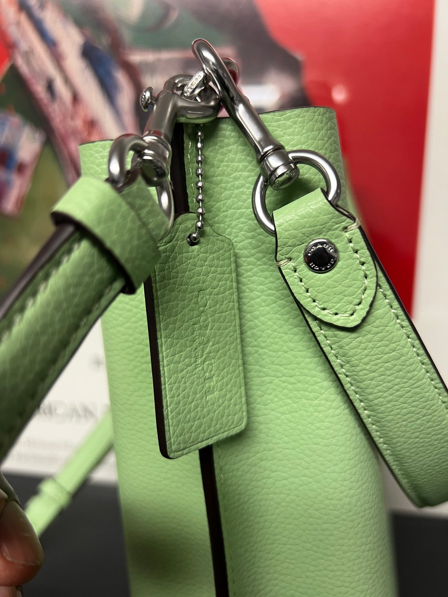 Coach Mollie Bucket Bag 22 in Pale Pistachio leather