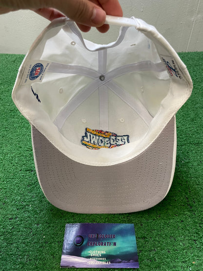 Vintage 1999 Hawaii Pro Bowl NFL hat