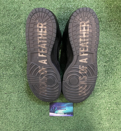 Nike Dunk low ducks of a feather black university of Oregon PE