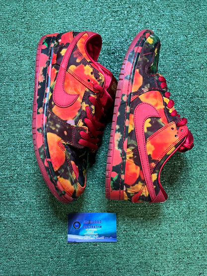 Nike SB dunk wizard of oz size 10.5men/12women