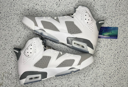 Jordan 6 Cool Grey