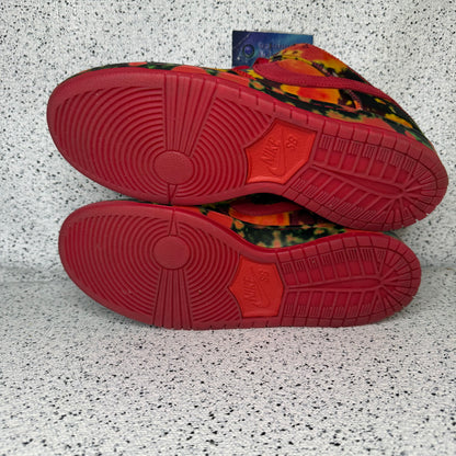 Nike Dunk SB Wizard Of Oz 10.5 Men “Preowned”