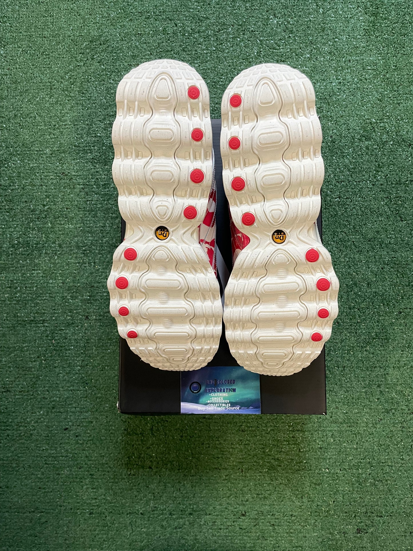 Nike Air Max DN8 Vaquera