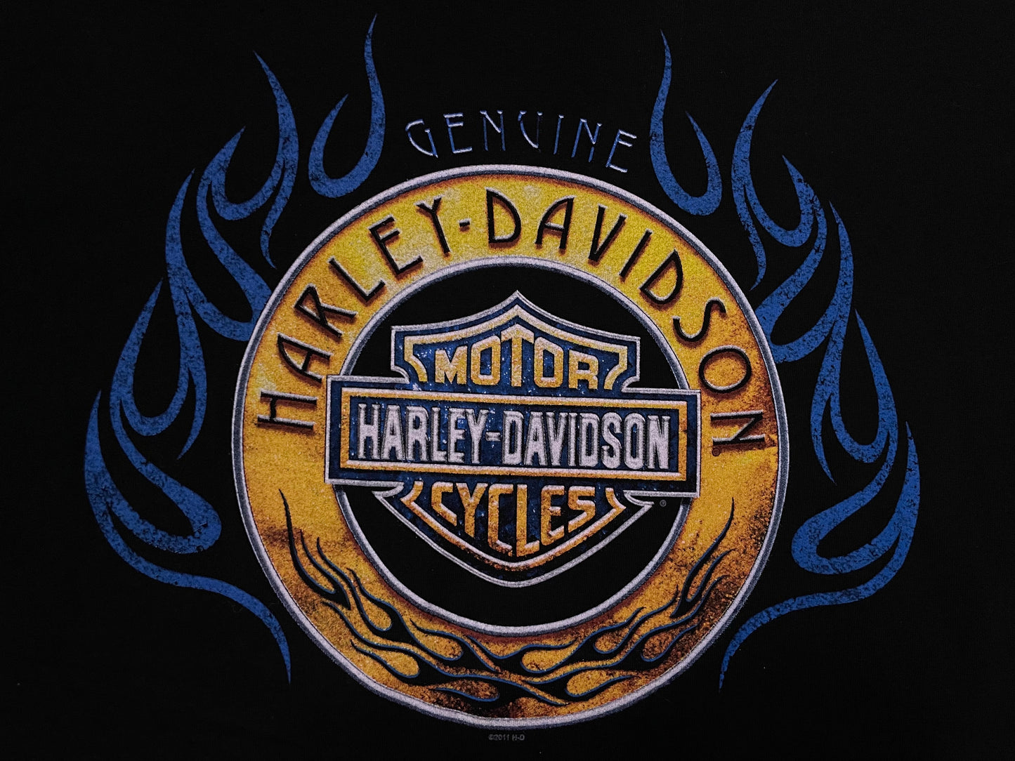 Harley Davidson flame Mesa Arizona tee