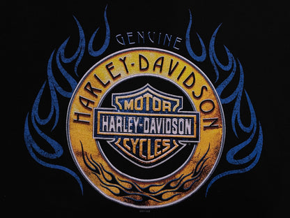 Harley Davidson flame Mesa Arizona tee