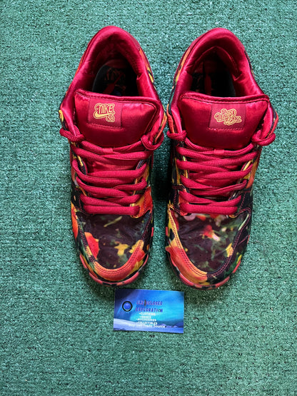 Nike SB dunk wizard of oz size 10.5men/12women