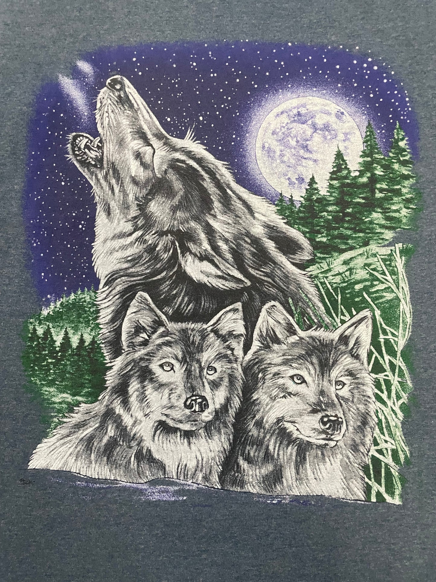 Vintage 1990s Wolves mountain tee