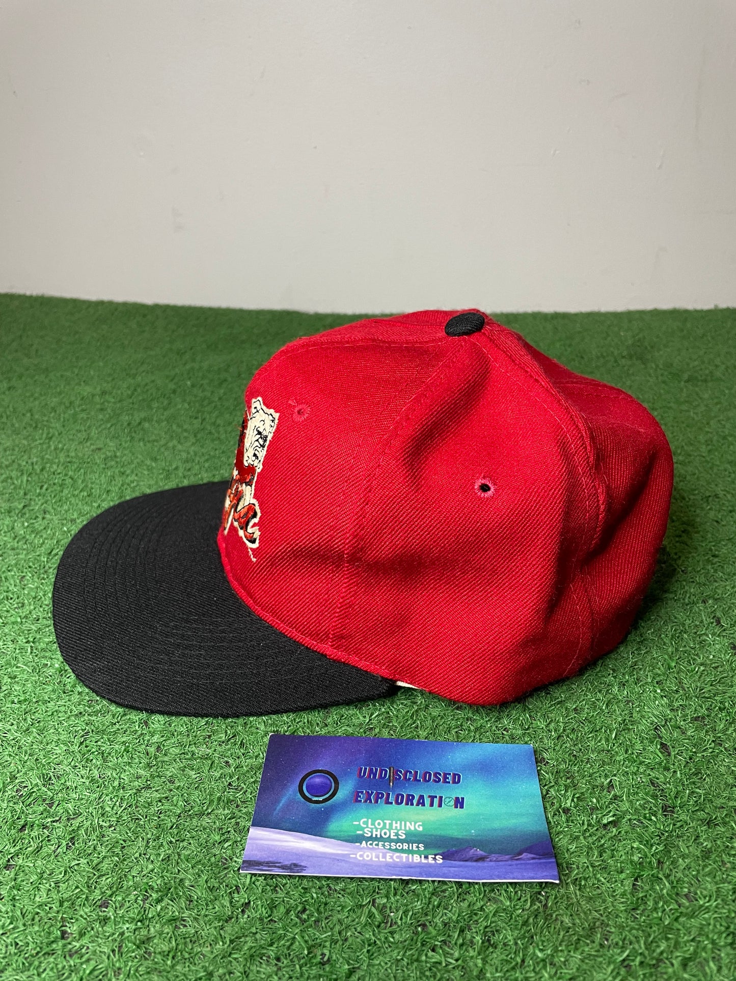 Vintage 1990s University of Georgia bulldogs hat
