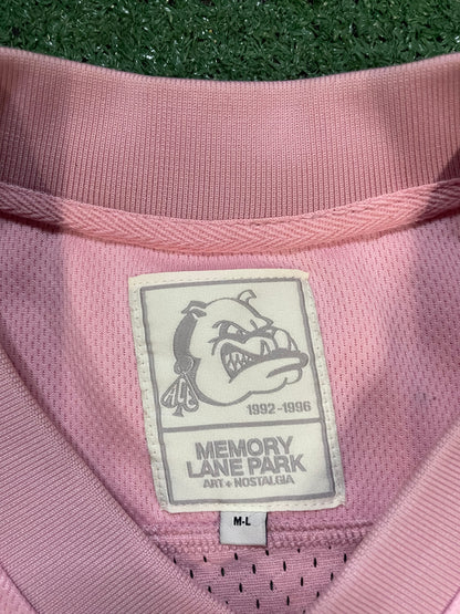 Memory Lane Park pink #33 mesh jersey