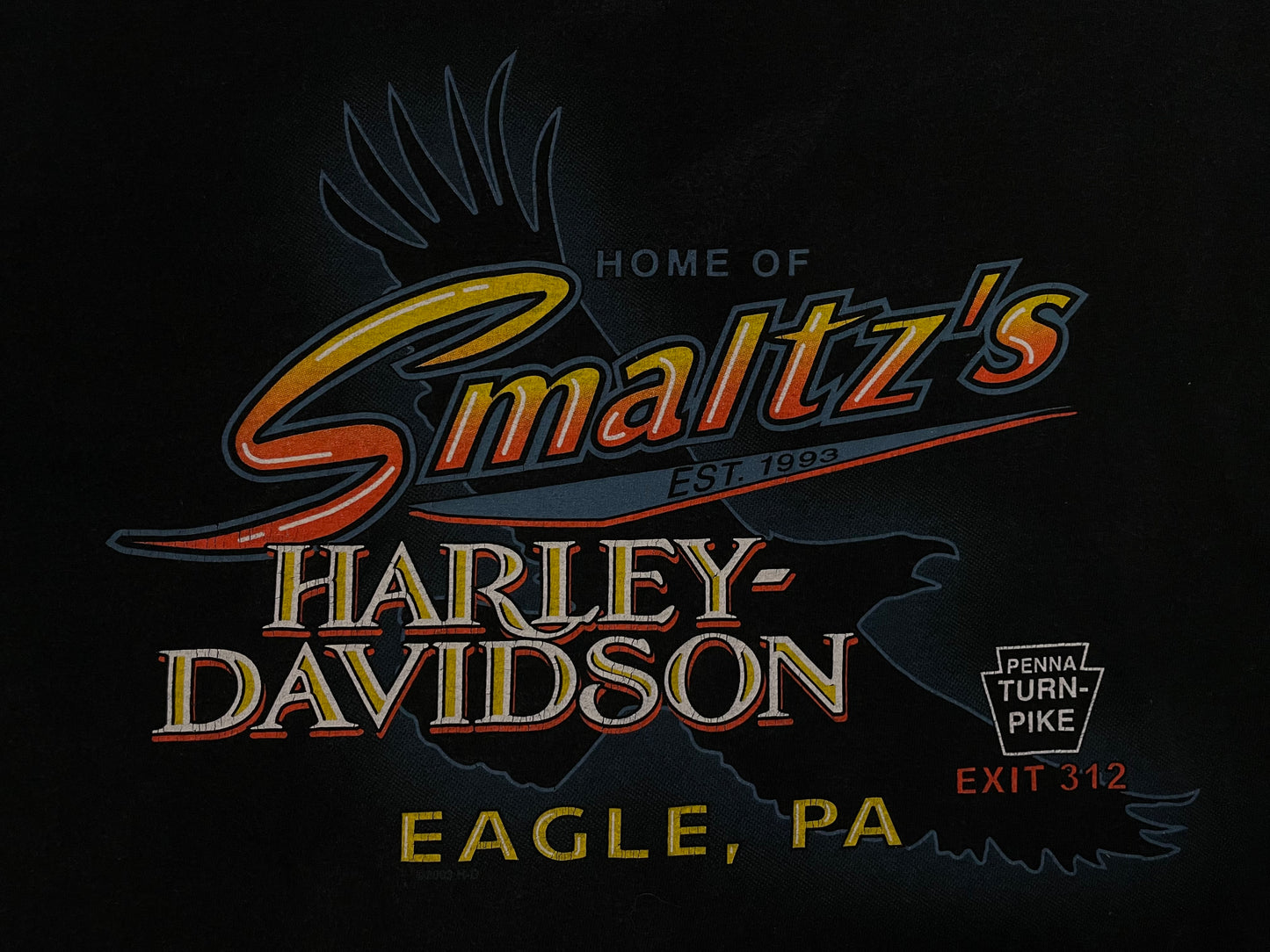 Vintage Harley Davidson hawg wild tee