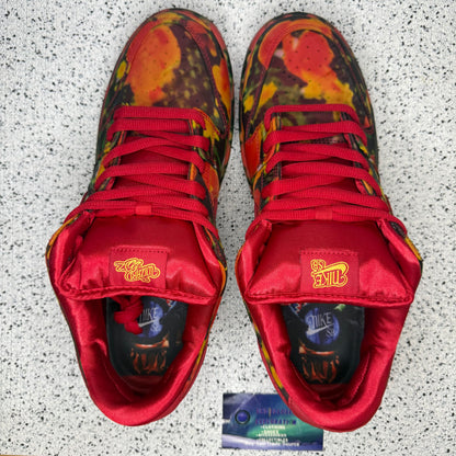 Nike Dunk Sb Low Wizard Of Oz