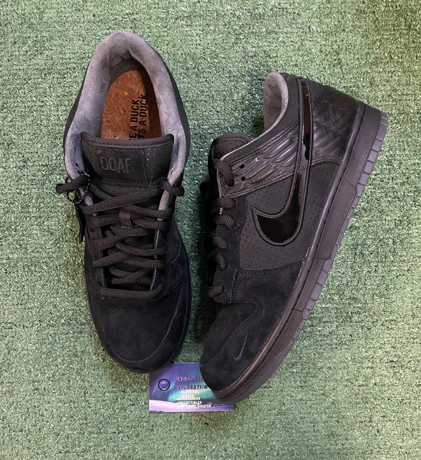 Nike Dunk low ducks of a feather black university of Oregon PE