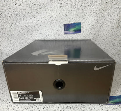 Nike LeBron 8 South Beach