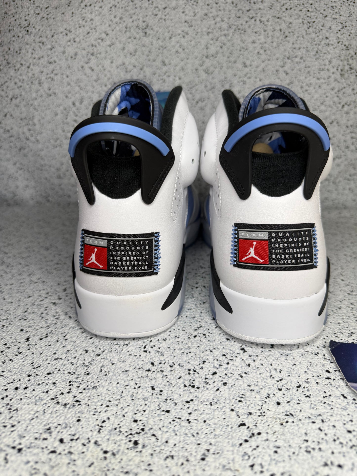 Jordan 6 UNC