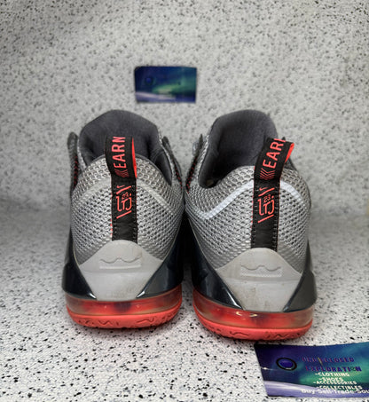 LeBron 12 Low Wolf Grey 12 Men/13.5 Women “Preowned”