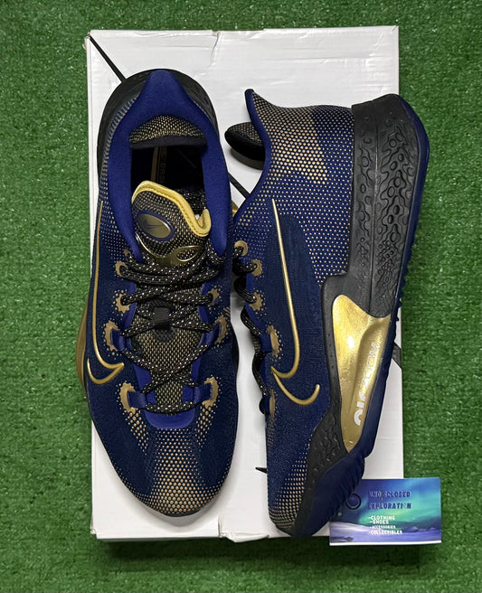 Nike Air Zoom BB Nxt Blue Void