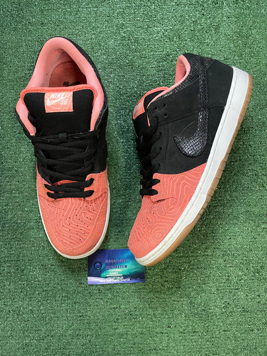 Nike SB dunk low premier fish ladder size 13men/14.5women