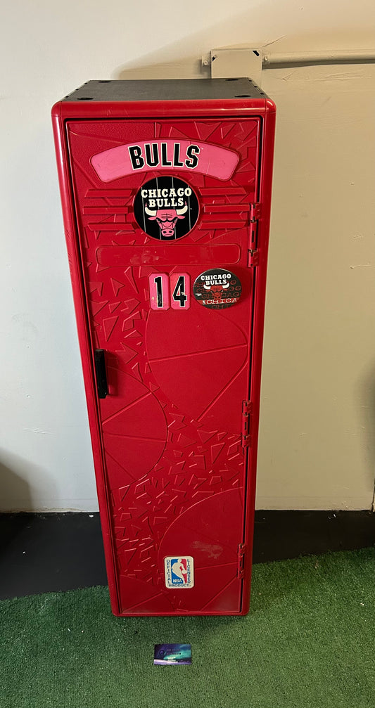 Vintage 1990s Chicago bulls 4 Foot locker