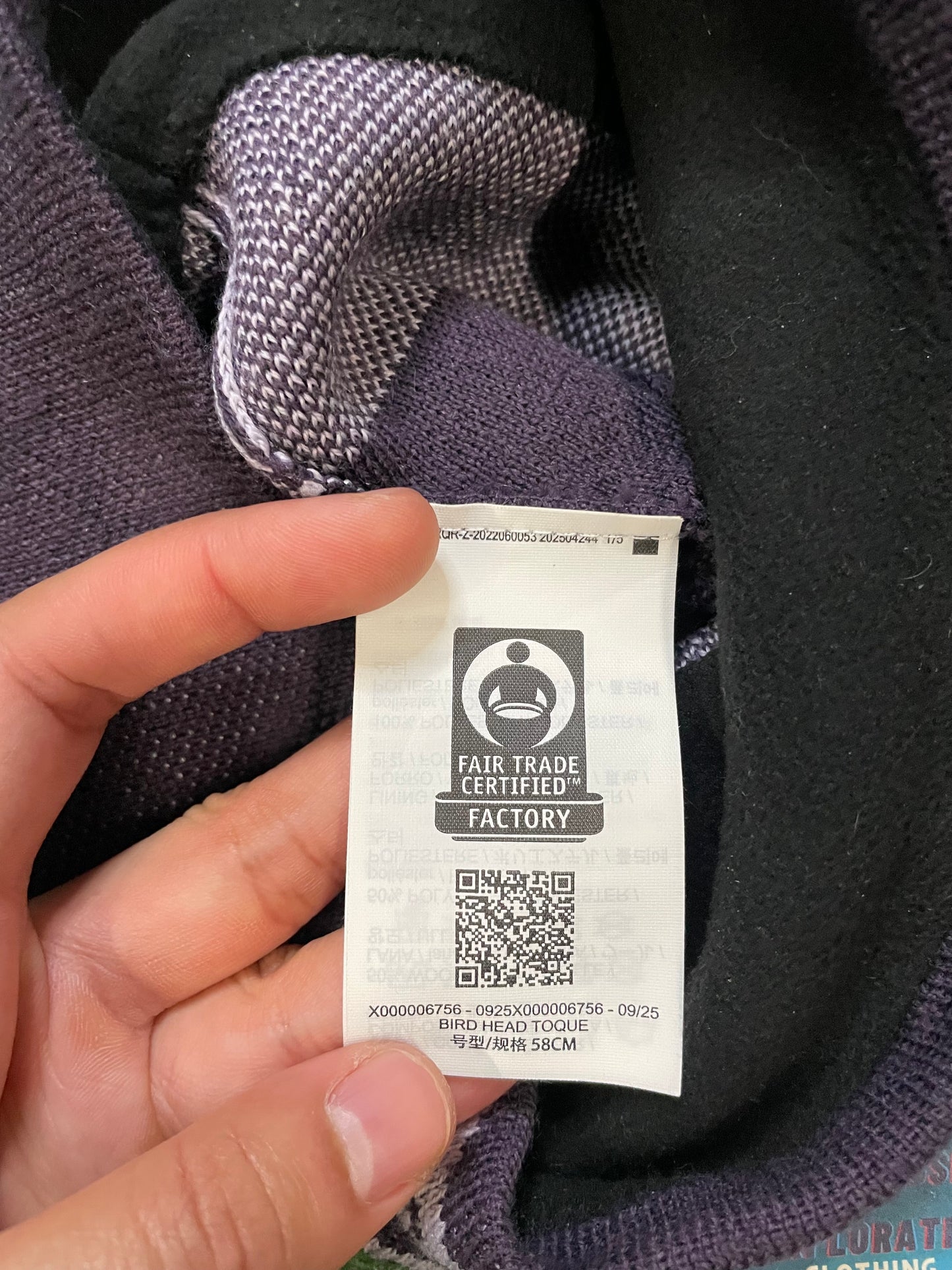 Arc'teryx Bird Head Toque purple  beanie