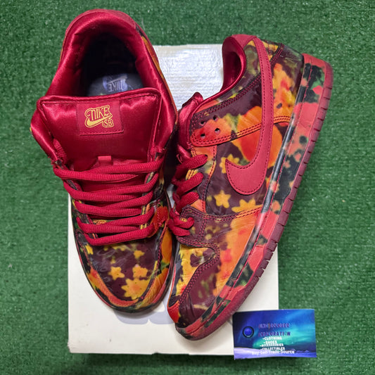 Nike Dunk SB Low Wizard of Oz 10 Men “Preowned”