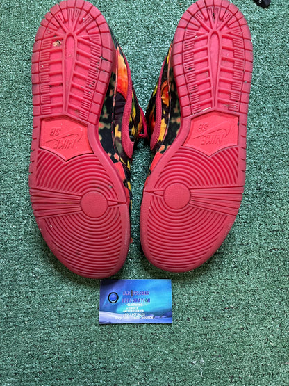 Nike SB dunk wizard of oz size 10.5men/12women