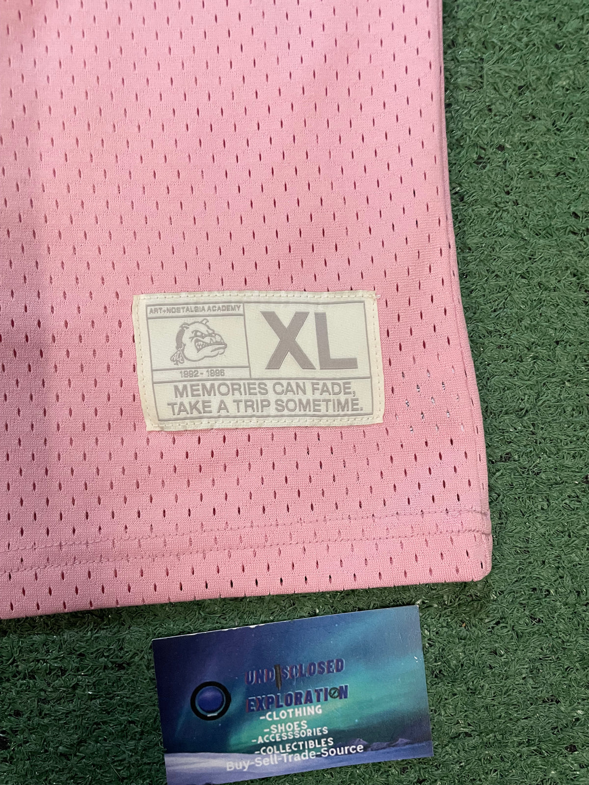 Memory Lane Park pink #33 mesh jersey