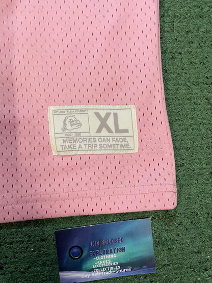 Memory Lane Park pink #33 mesh jersey