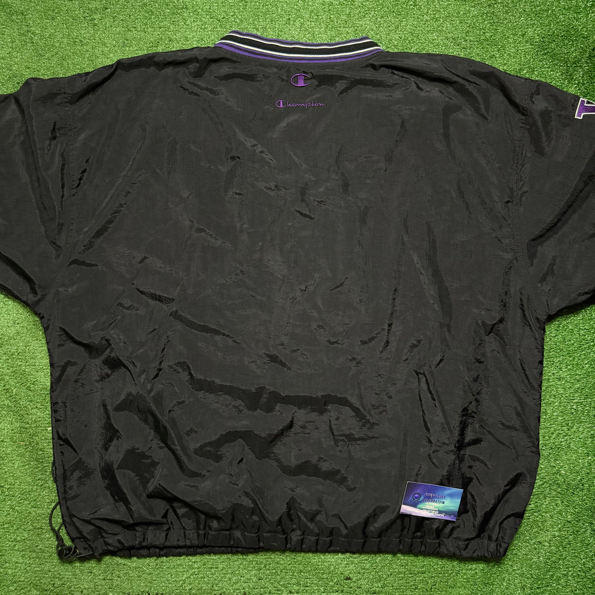 Vintage Washington Huskies Pullover Champion