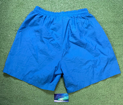 vintage Nike ACG nylon blue shorts
