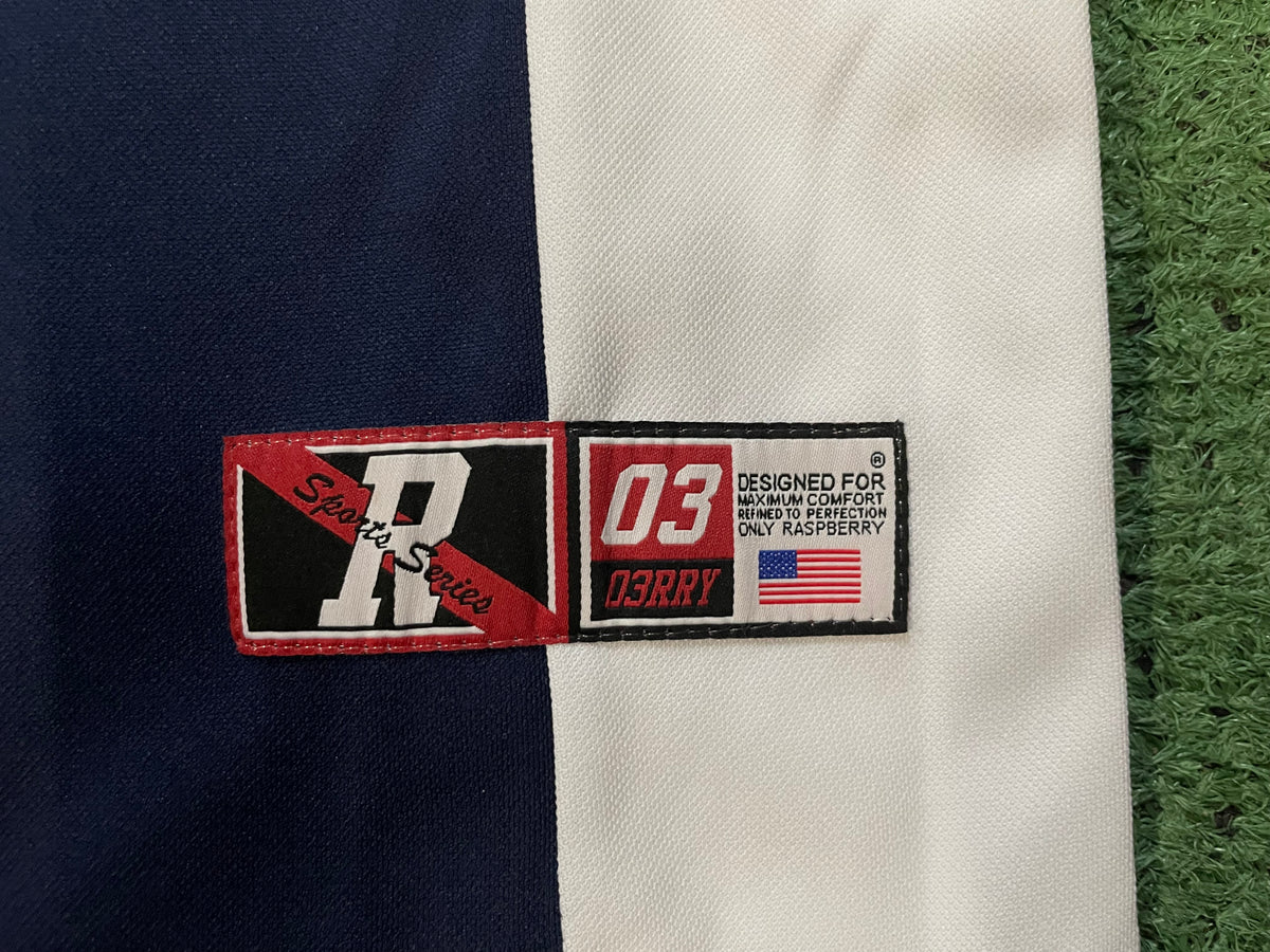 Gv Gallery Raspberry hills R03 jersey