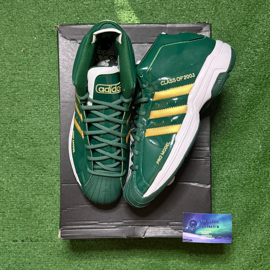 Adidas Pro Model 2G LeBron SVSM