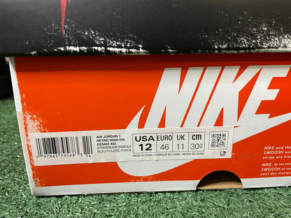 Air Jordan 1 high UNC reimagined