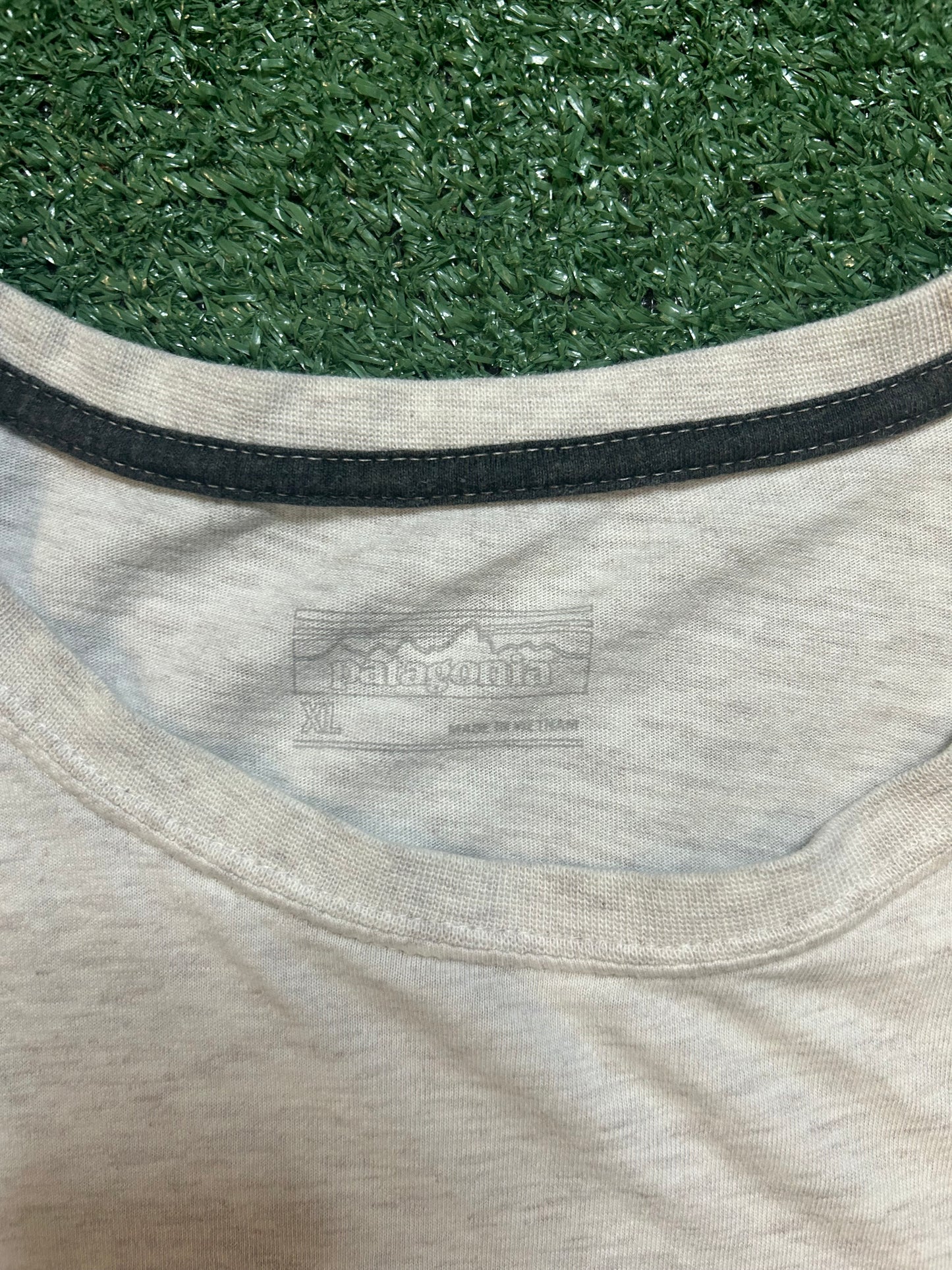Patagonia light gray tee